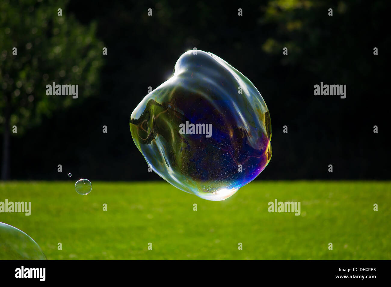 große Seifenblasen vor einer grünen Wiese Stockfoto