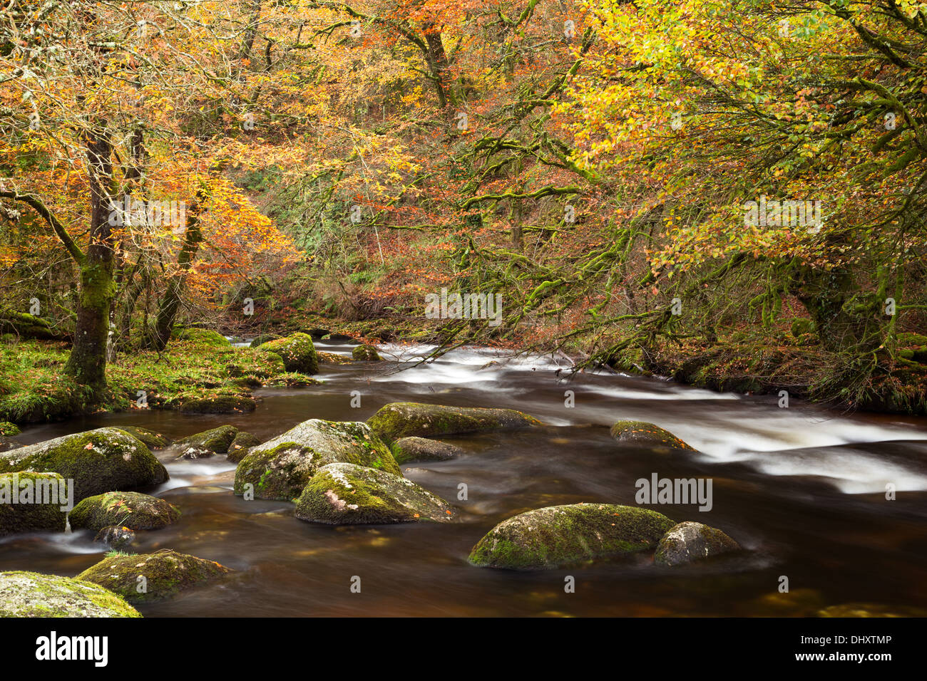 Die East Dart River im Herbst Dartmoor National Park Devon Uk Stockfoto