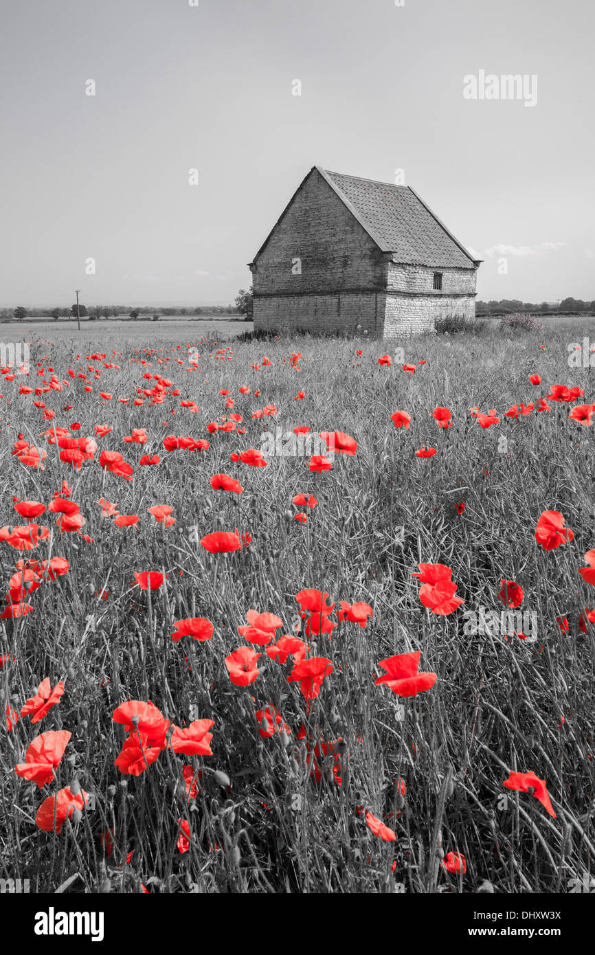 Feld-Scheune in Appleton-le-Street in Ryedale Bezirk von North Yorkshire. Stockfoto