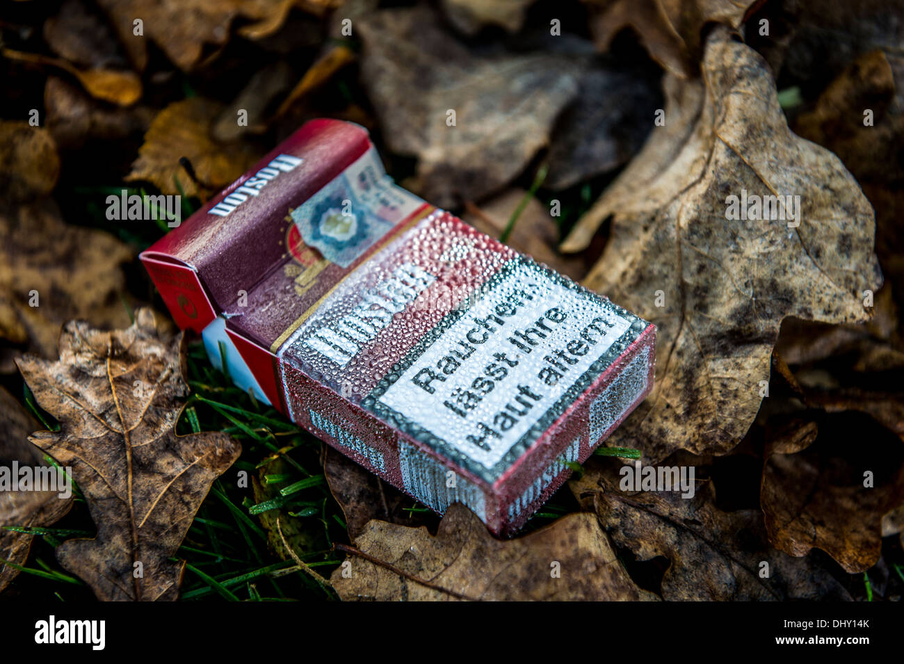 Weggeworfene Zigarettenschachtel auf Blätter im Herbst Stockfoto