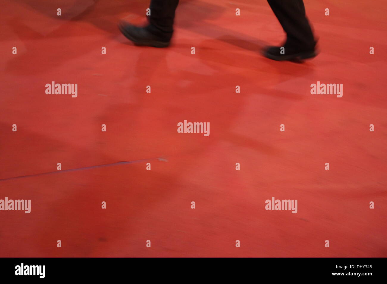 Rom, Italien. 14. November 2013 Fans warten für Liam Hemsworth, Jennifer Lawrence, Josh Hutcherson auf dem roten Teppich für den Film Hunger Games auf dem Rom International Film Festival im Auditorium in Rom, Italien © Gari Wyn Williams/Alamy Live News Stockfoto