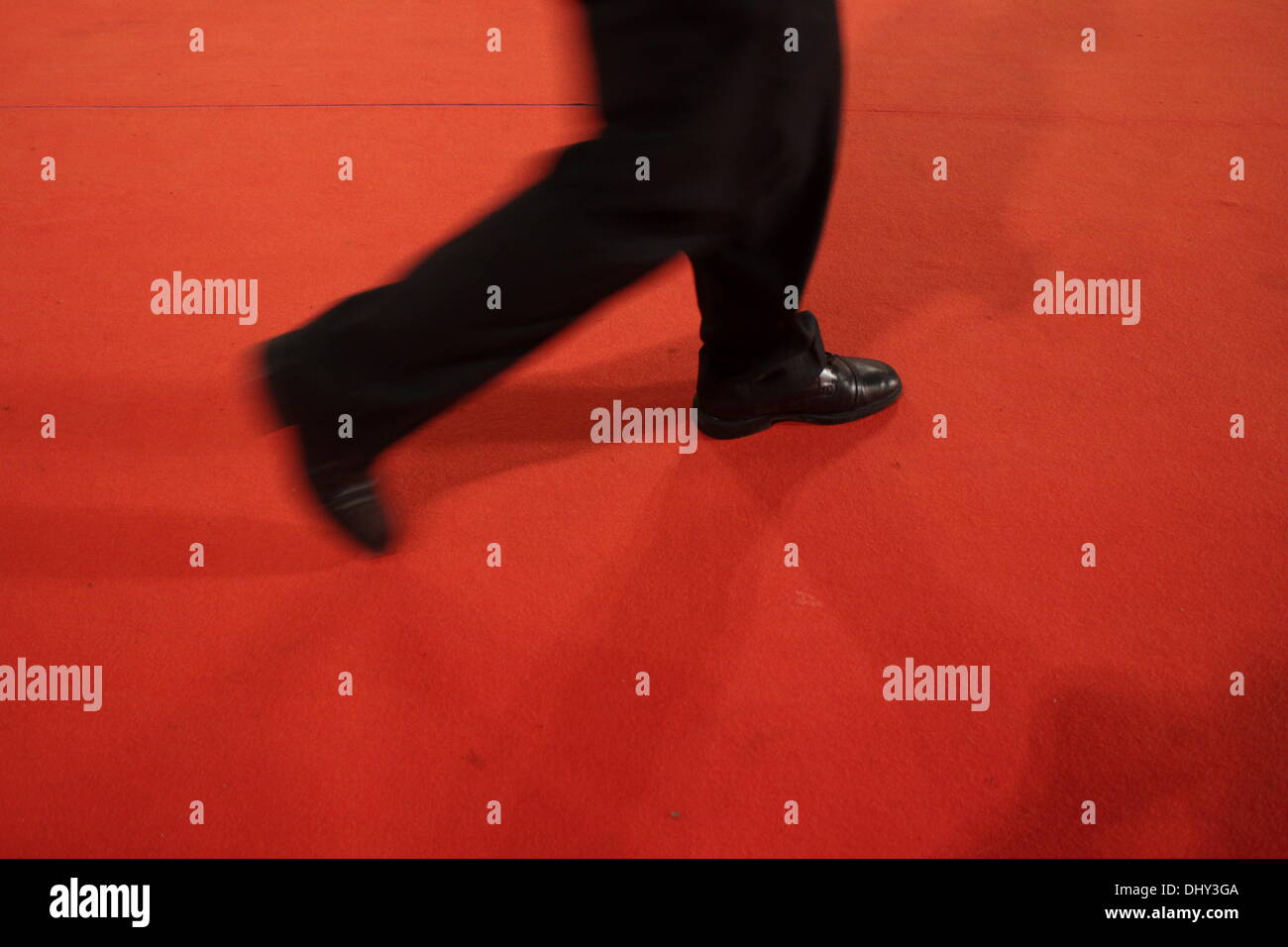 Rom, Italien. 14. November 2013 Fans warten für Liam Hemsworth, Jennifer Lawrence, Josh Hutcherson auf dem roten Teppich für den Film Hunger Games auf dem Rom International Film Festival im Auditorium in Rom, Italien © Gari Wyn Williams/Alamy Live News Stockfoto