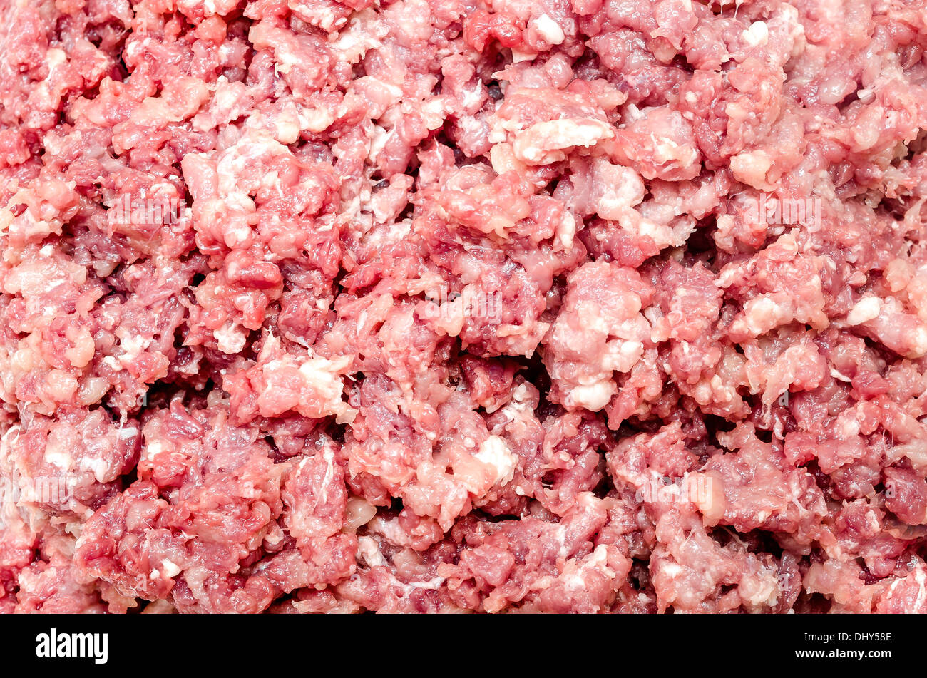 Frisch gemahlener Fleisch zum Kochen Fleischspezialitäten. Stockfoto