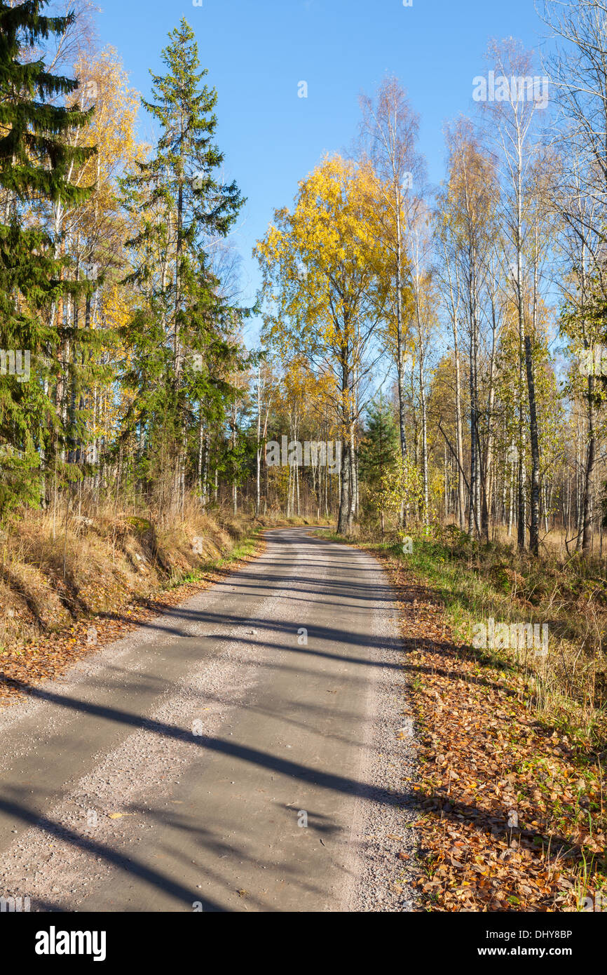 Schöner Herbst in Finnland Stockfoto