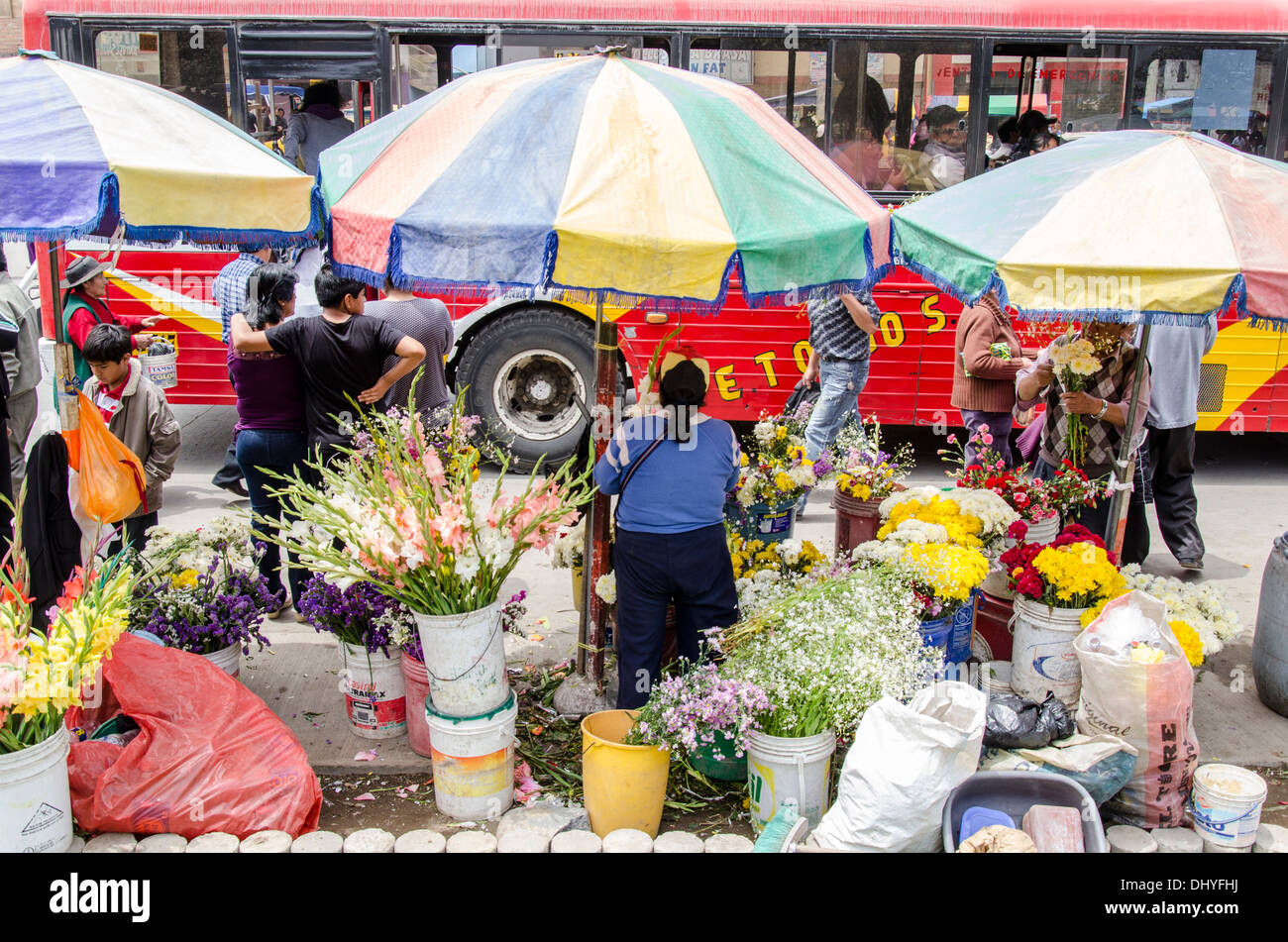 Blumenmarkt in der Villa Maria del Triunfo. Lima Peru. Stockfoto