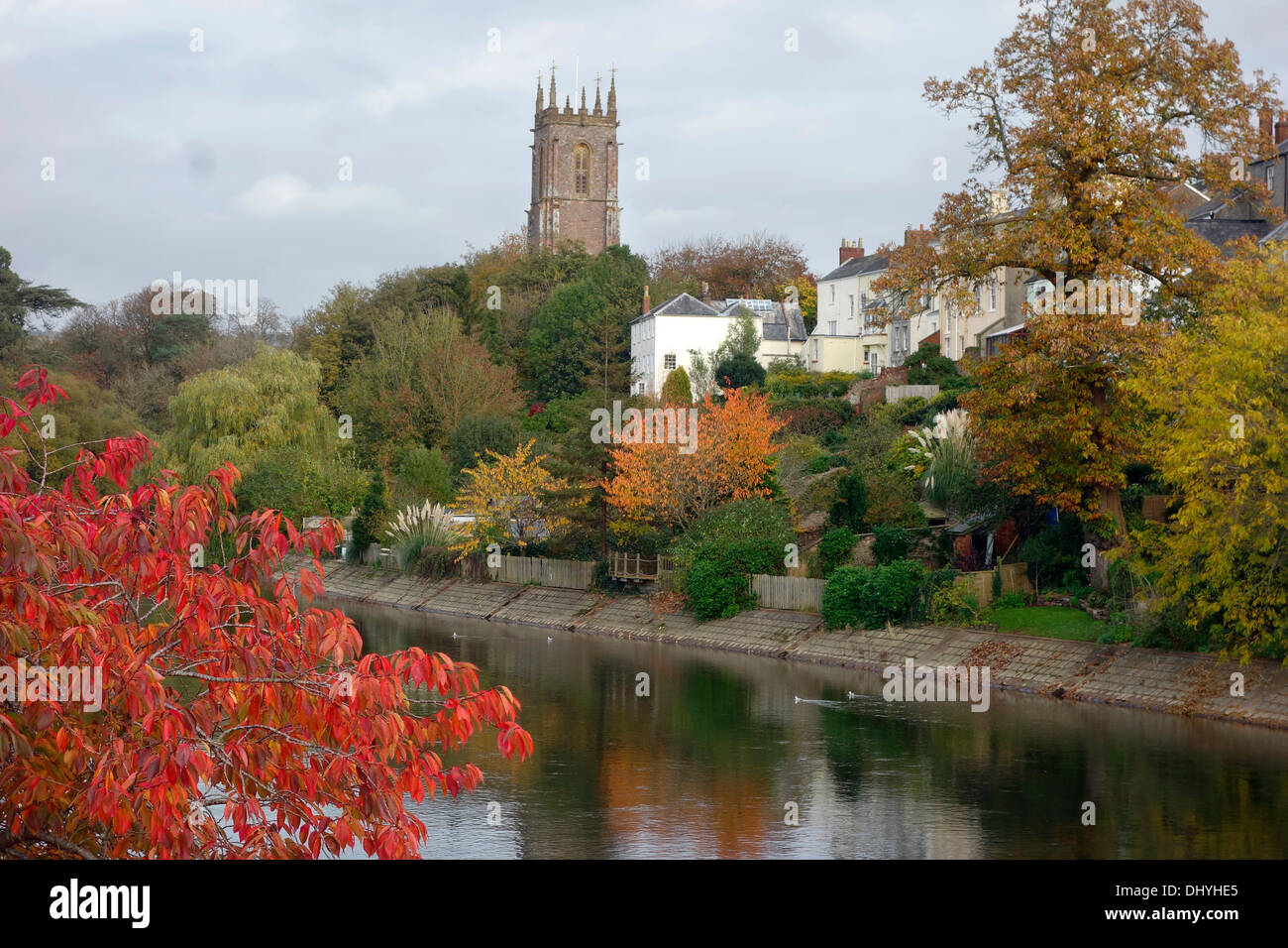 Herbstfärbung auf dem Fluß Exe, Tiverton, Devon mit Turm der St.-Peter Kirche Stockfoto