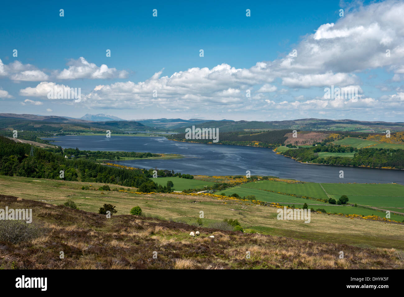 Nach Westen gerichtete Blick auf Dornoch Firth Stockfoto