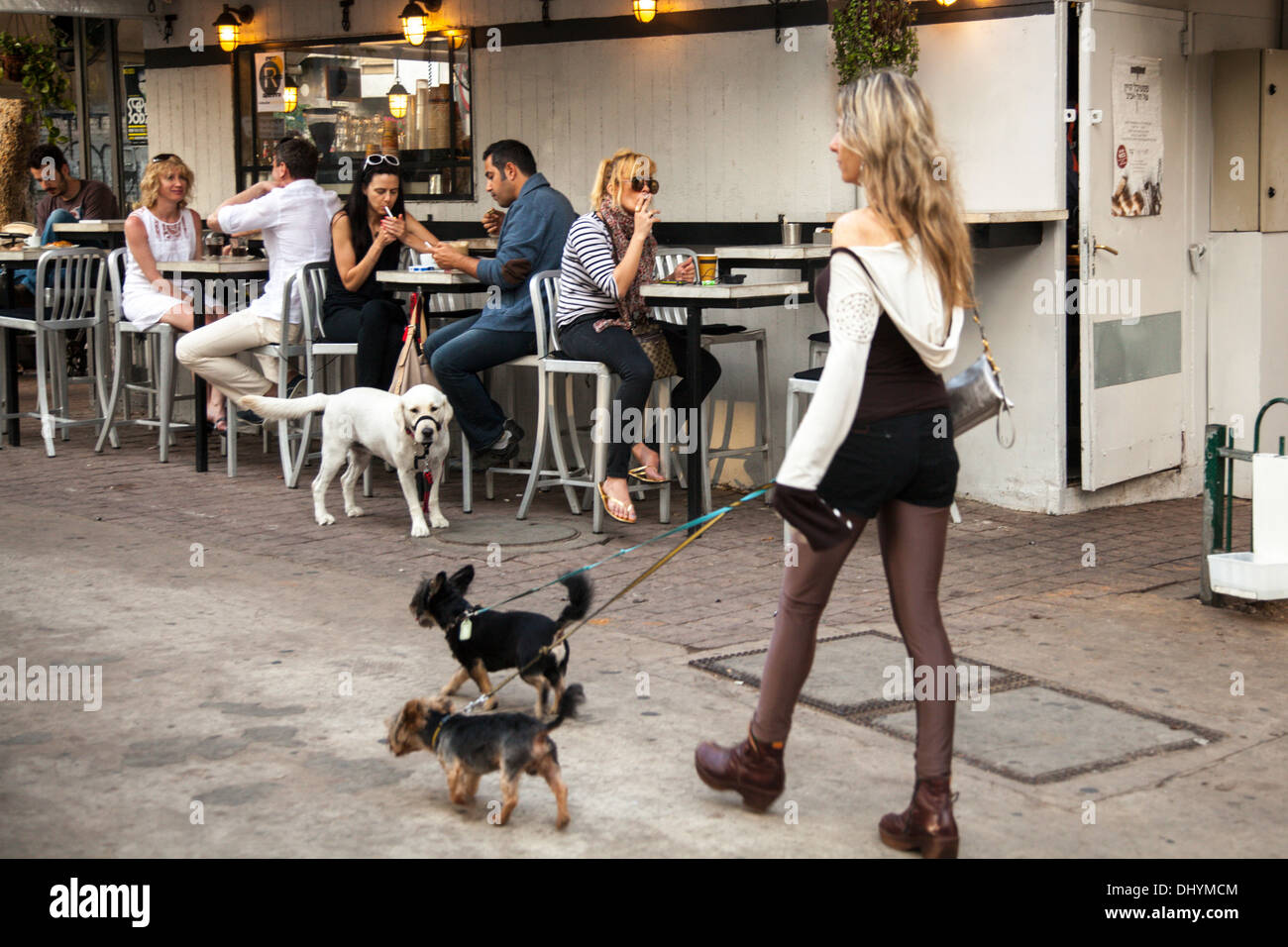 Eine Frau, die ihren Hund am Rothschild Boulevard, Tel Aviv, Israel Stockfoto