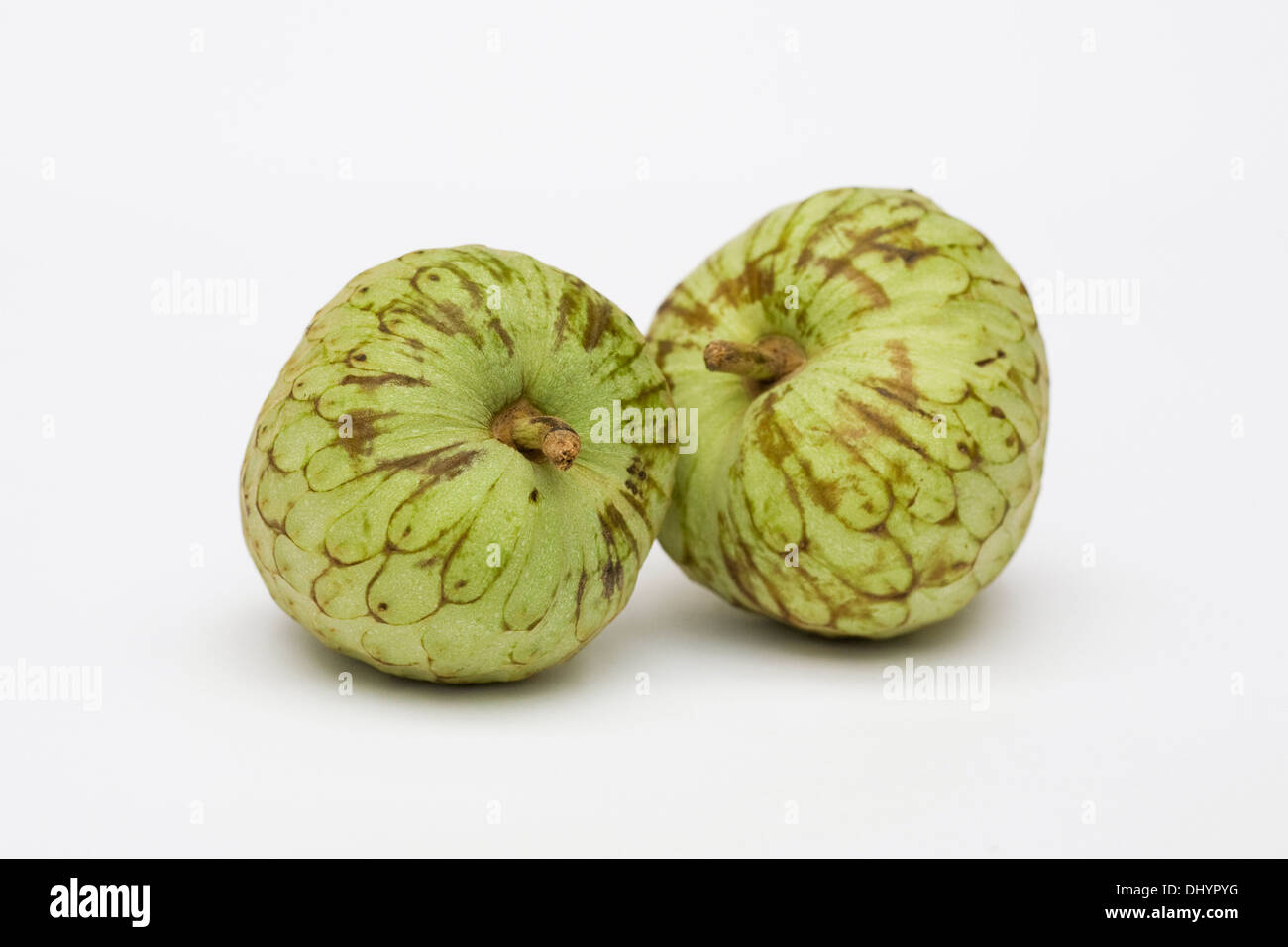 Cherimoya. Zwei Vanillepudding Äpfel auf einem weißen Hintergrund. Stockfoto