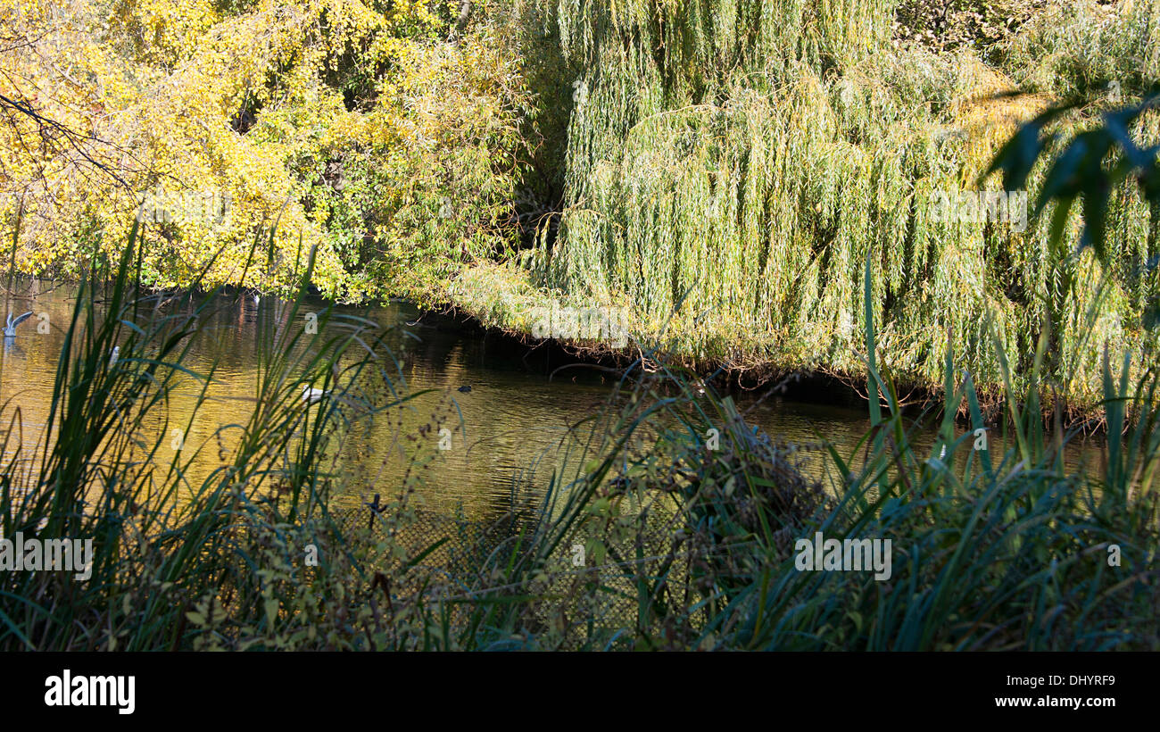 Herbst-Szene in St James Park, London Stockfoto