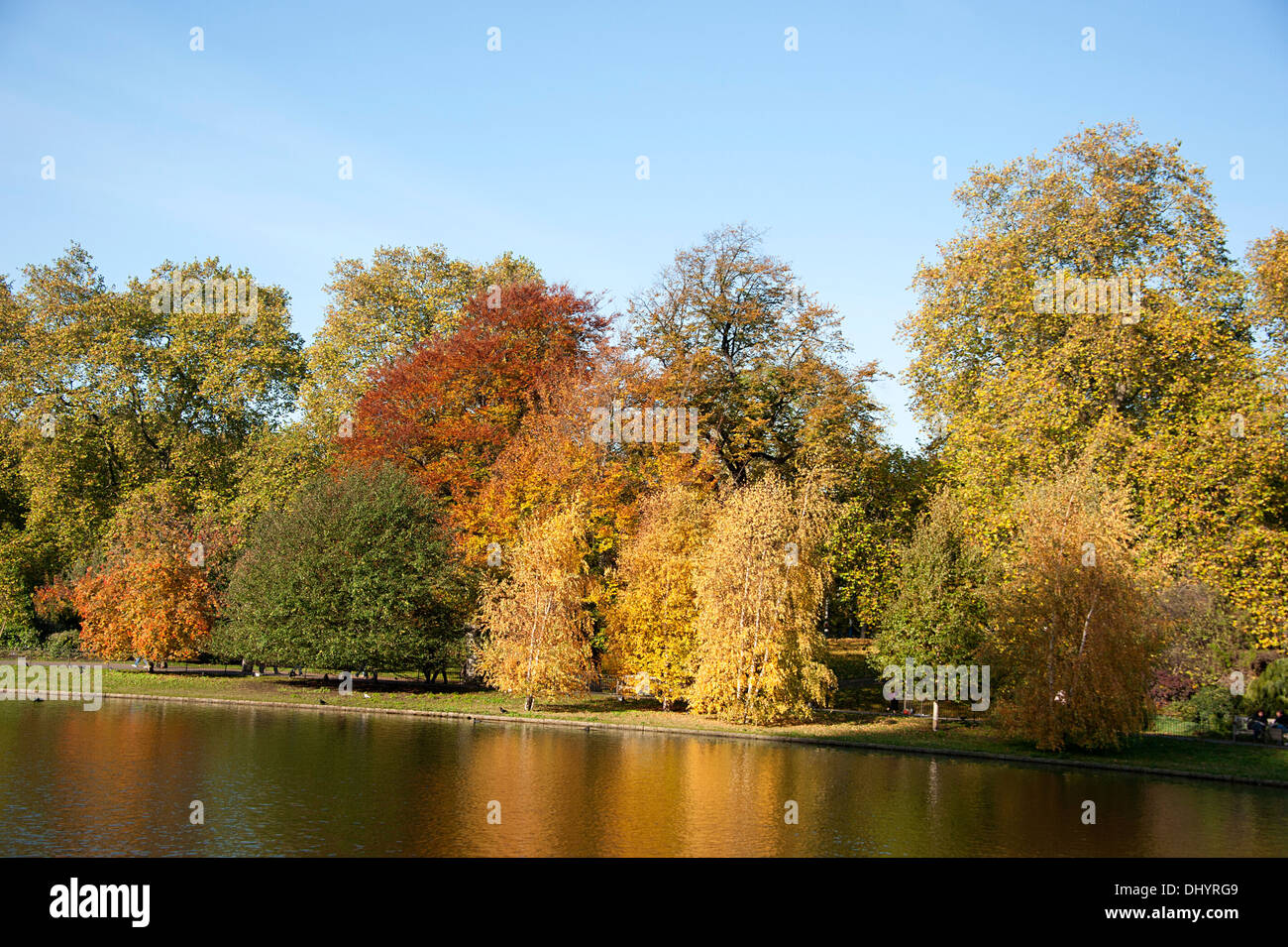 Herbst-Szene in St James Park, London Stockfoto