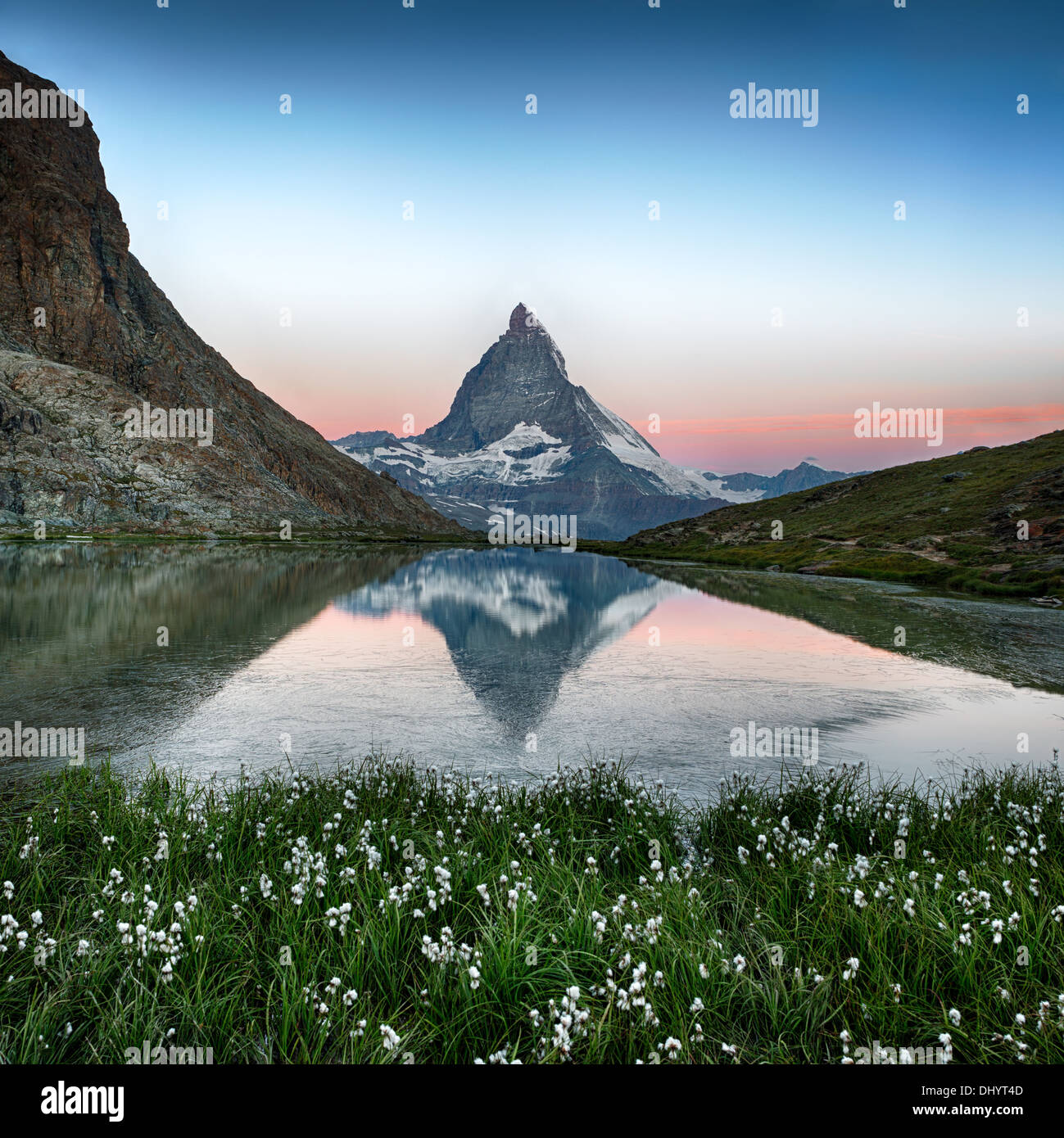 Matterhorn-Spiegelbild im Riffelsee mit Blumen, Zermatt, Alpen, Schweiz Stockfoto