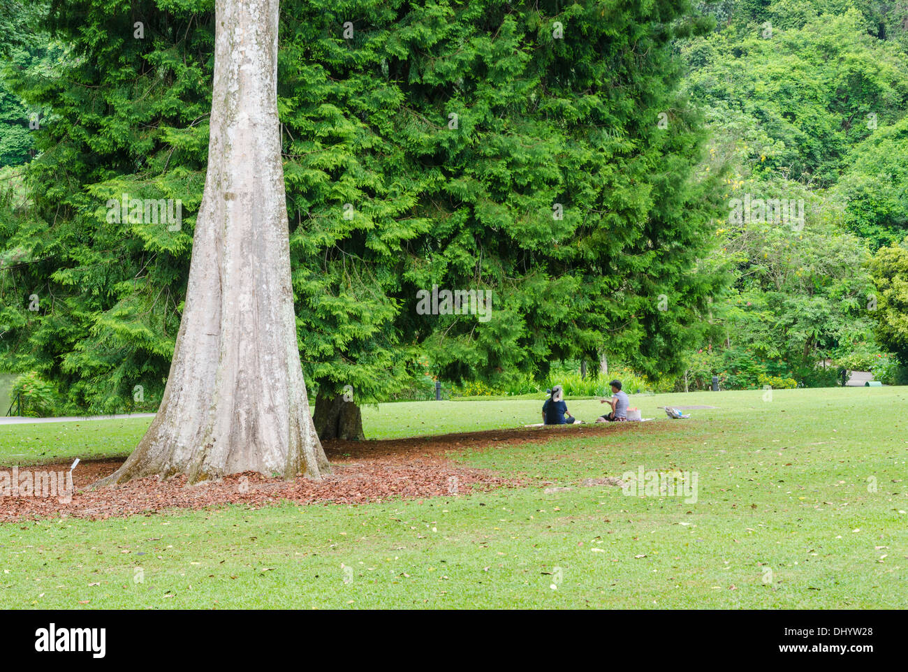 Zwei Frauen sitzen unter einem Baum in den üppigen grünen ruhigen Singapore Botanic Gardens, Singapur Stockfoto