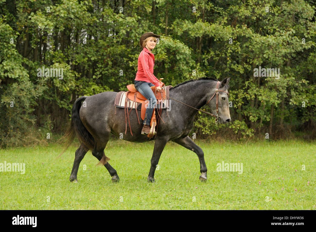 Western-Stil Reiten auf Rückseite ein Connemara-pony Stockfotografie - Alamy