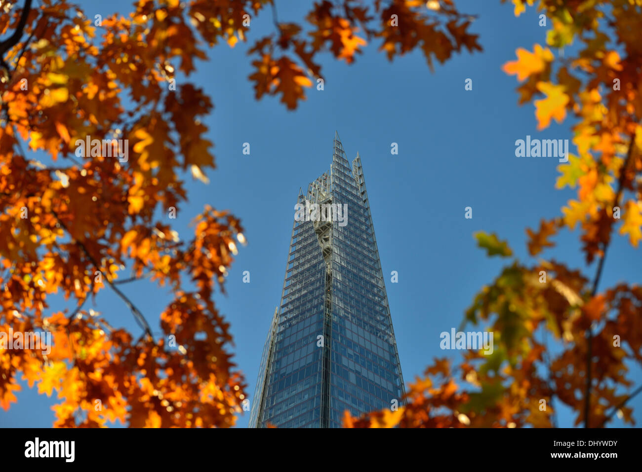 Herbstliche Blätter rund um The Shard, London Bridge Viertel, 32 London Bridge Street, London. SE1, Vereinigtes Königreich Stockfoto