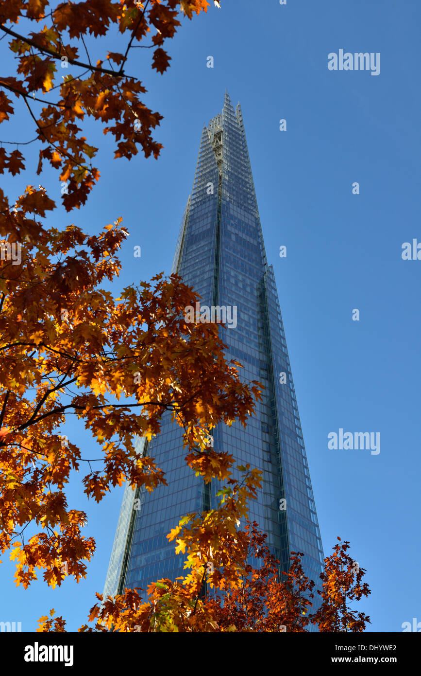 Herbstliche Blätter rund um The Shard, London Bridge Viertel, 32 London Bridge Street, London. SE1, Vereinigtes Königreich Stockfoto