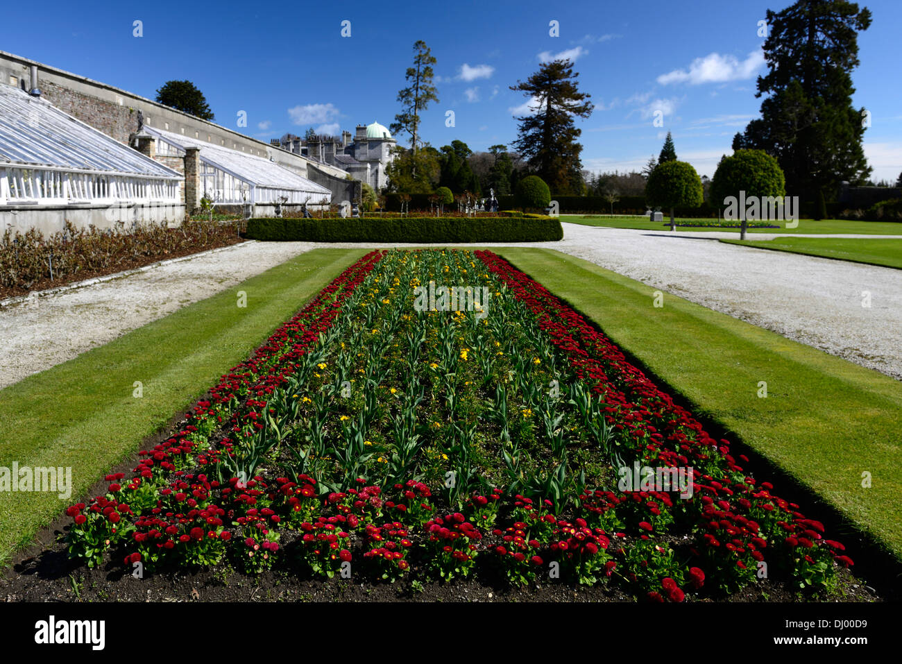 Powerscourt Estate Frühling Bett Grenze Pflanze Pflanzen Anzeige formale Gärten Tulpe Stockfoto