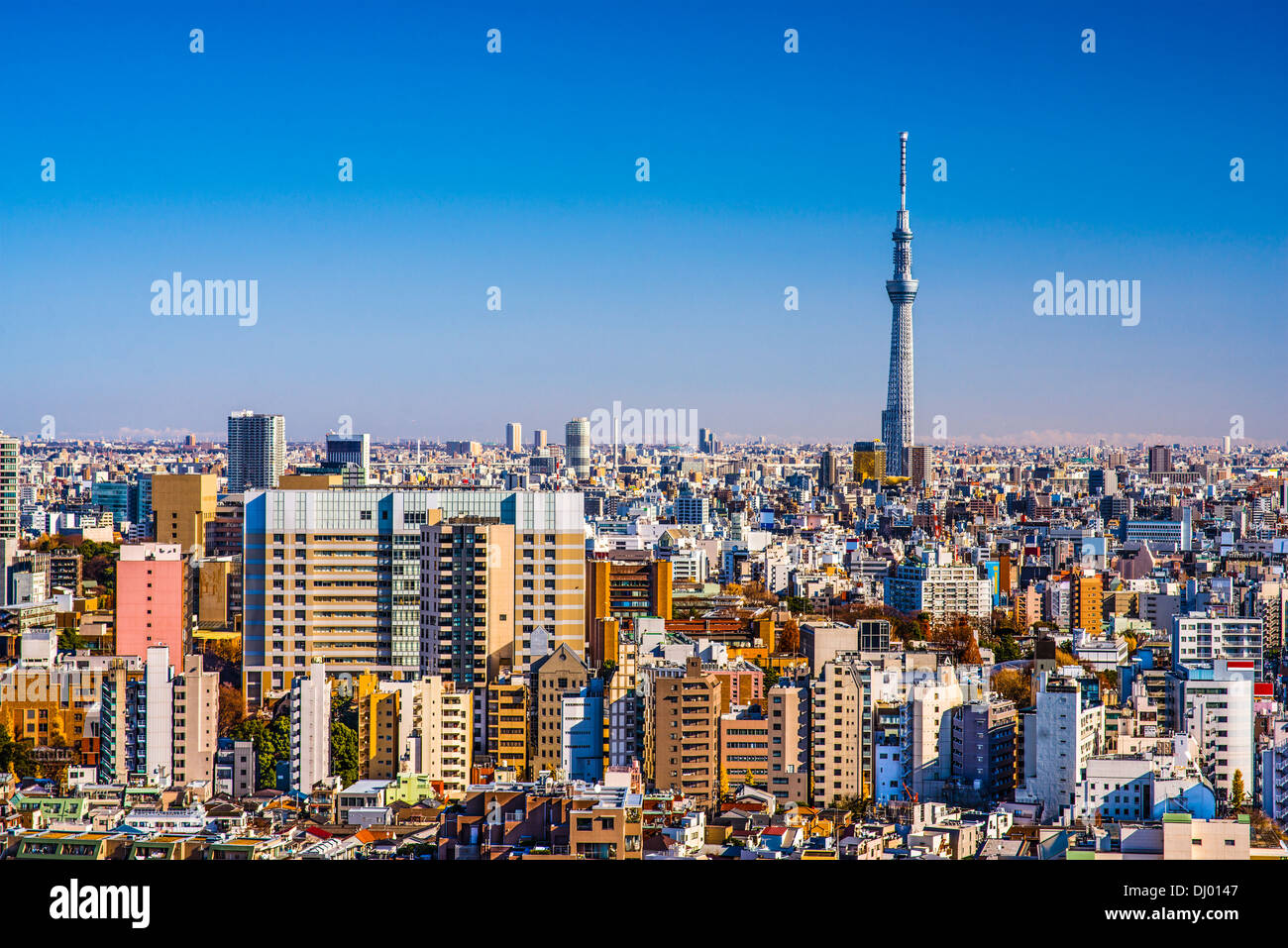 Tokyo, Japan am Nachmittag Skyline mit Tokyo Sky Tree. Stockfoto
