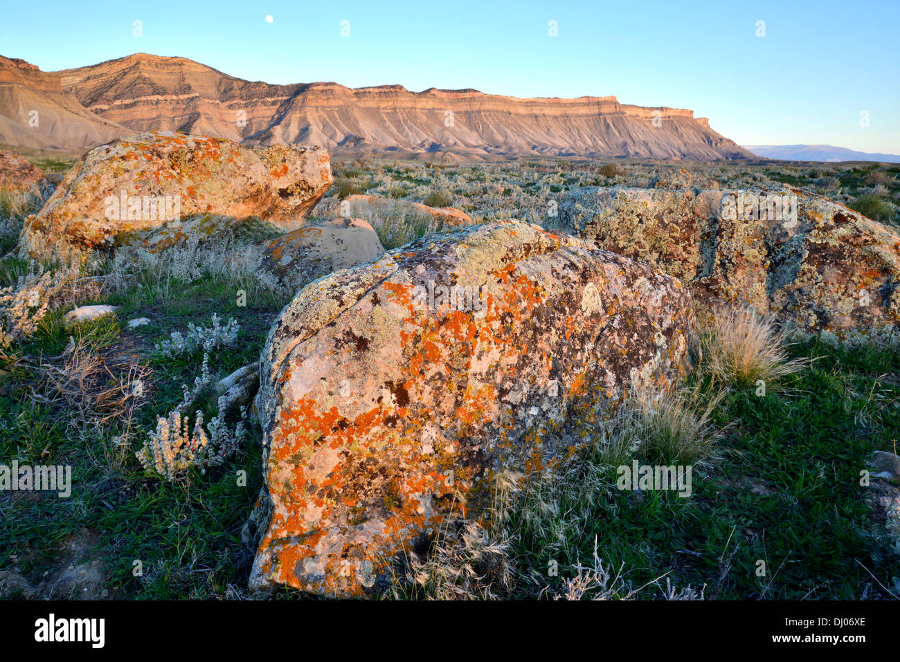 Flechten bedeckt Felsen schmücken die Wüstenlandschaft unter den Bookcliffs nördlich von Grand Junction, Colorado Stockfoto