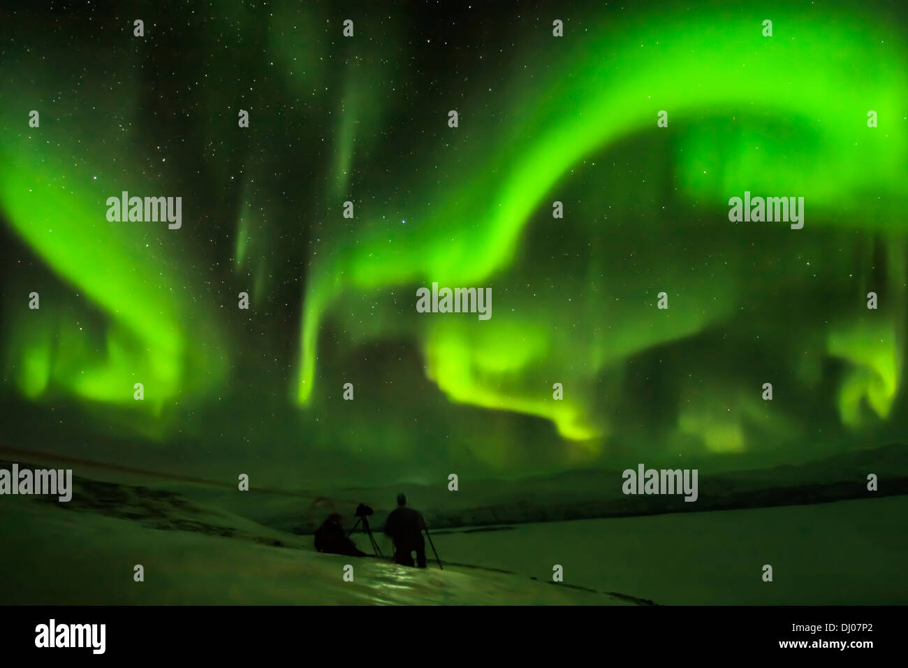 Nordlichter erscheinen mit einem lebendigen grünen wirbelnden Muster in den Nachthimmel in Abisko, arktischen Schweden Stockfoto
