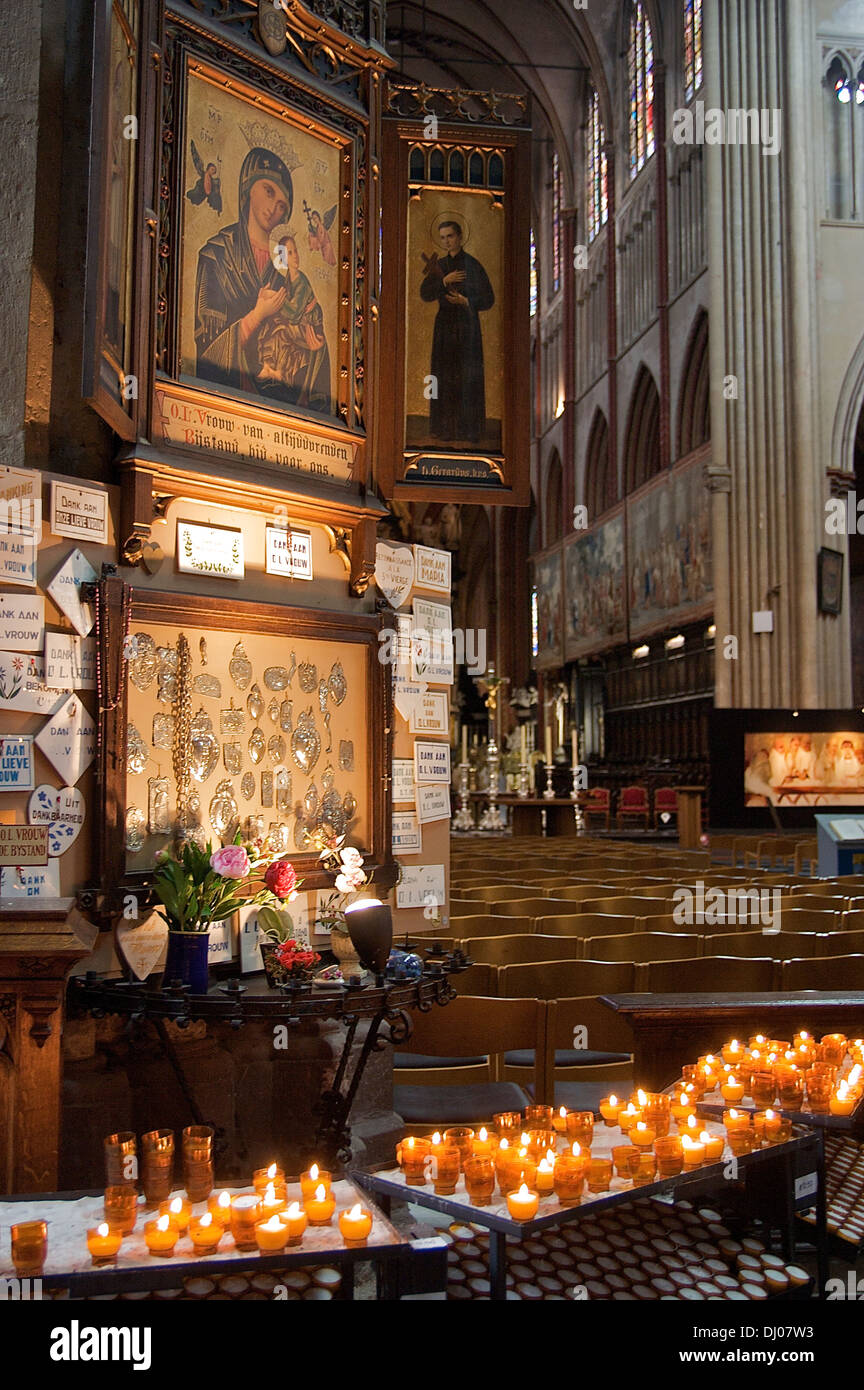 Sint-Salvatorskathedraal, Brügge, Belgien Stockfoto