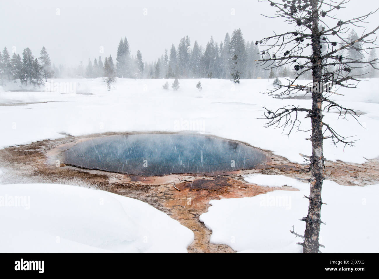 Dampfende Mineral-Pool während eines Schneesturms im Yellowstone-Nationalpark, Wyoming, USA Stockfoto