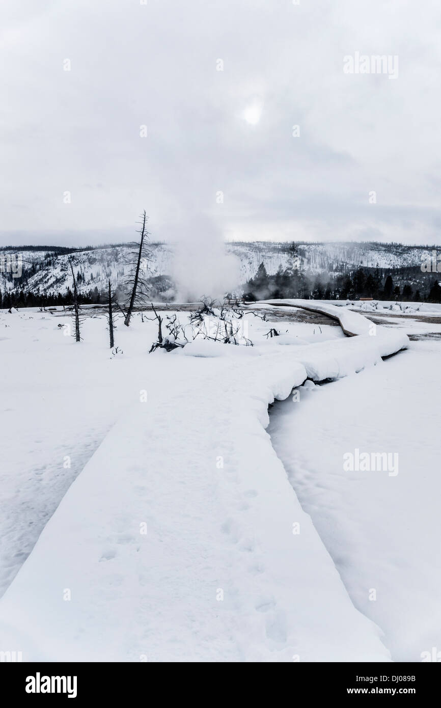 Verschneiten Strandpromenade rund um Keks Becken im Winter, Yellowstone National Park, UNESCO World Heritage Site, Wyoming, USA Stockfoto