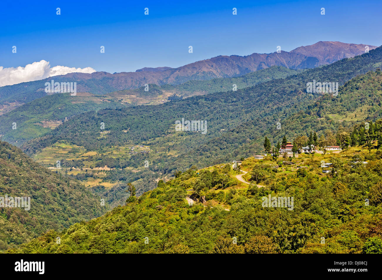 Landschaft von Bhutan mit Bergen und Wäldern Stockfoto