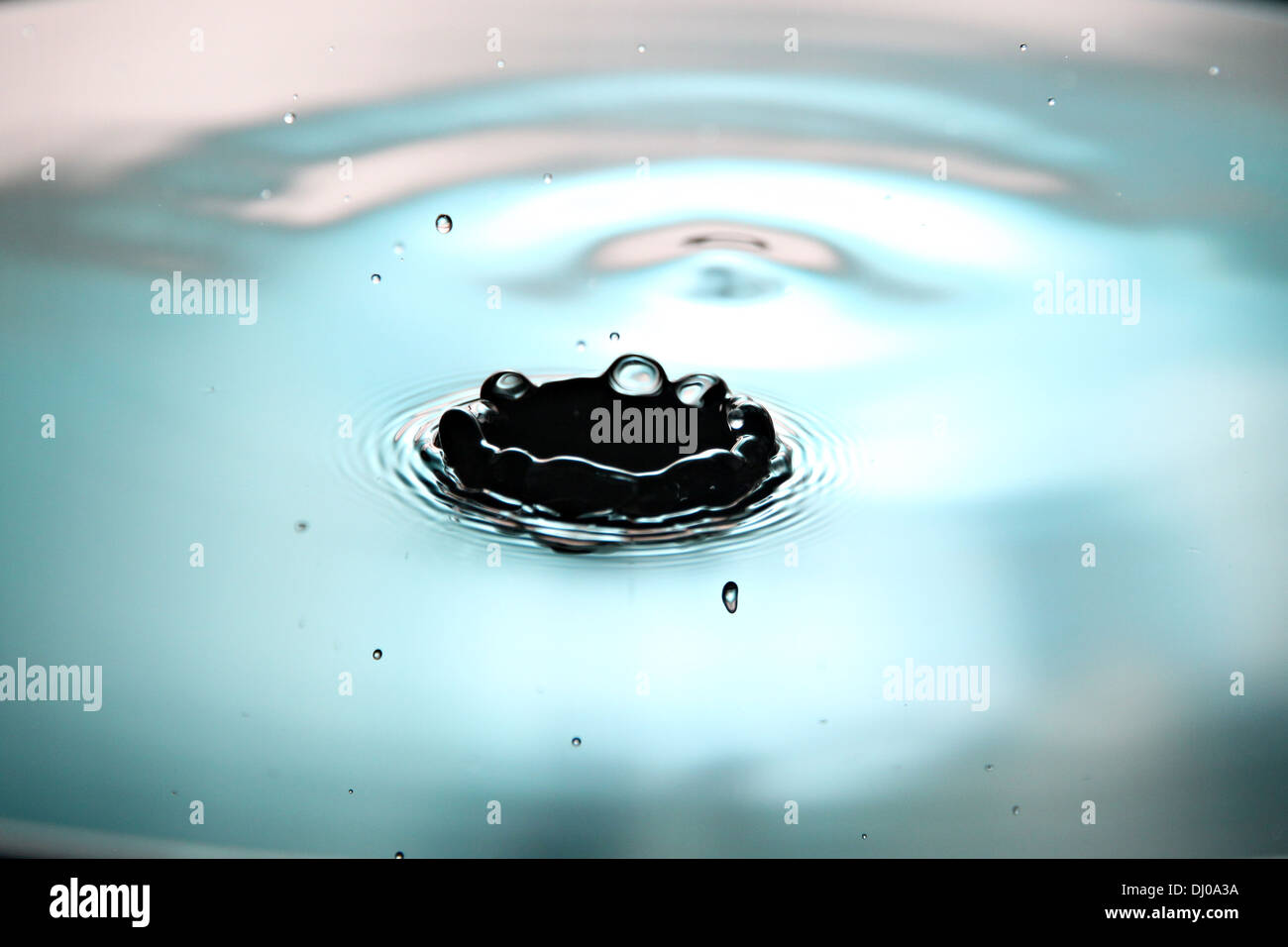 Closeup Wassertropfen Bildern eine schöne Kronenform auf blauen und weißen Hintergrund. Stockfoto