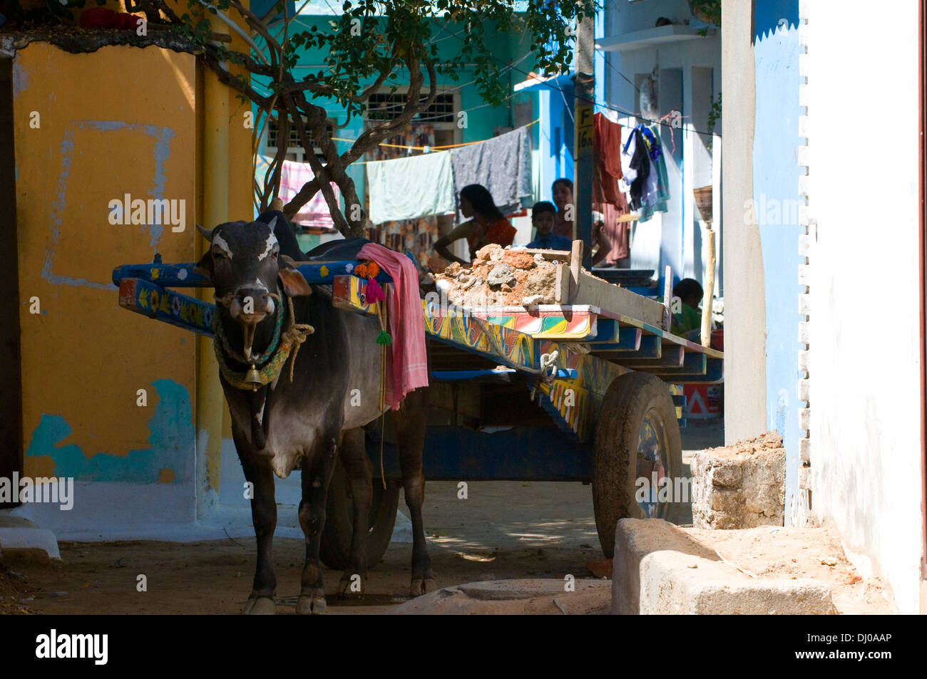 Bullock in den Seitenstraßen von Puttaparthi in Andhara Pradesh in Südindien, mit Wagen, die Transport von Bauschutt. Stockfoto