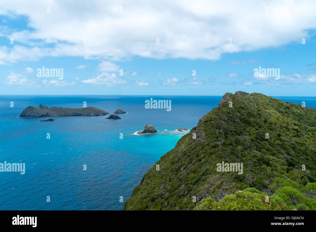 Blick Richtung Mount Eliza aus dem Max Nicholls Memorial Track, Lord-Howe-Insel, Australien Stockfoto