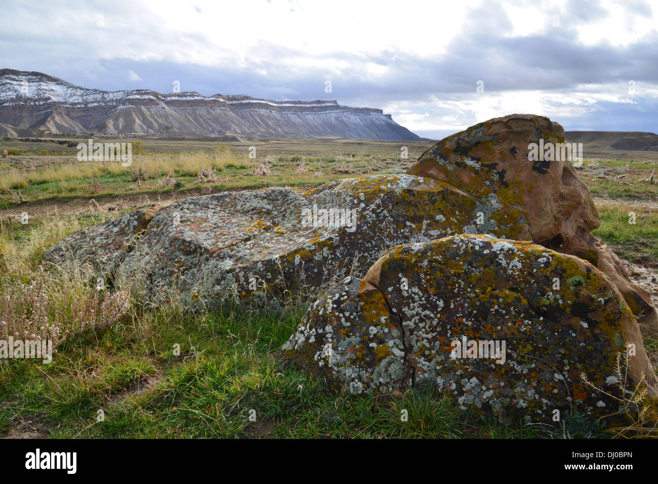 wunderschöne farbige Flechten bedecken Felsbrocken in einer ansonsten stark Wüste, genannt die Bookcliffs nördlich von Grand Junction, Colorado Stockfoto