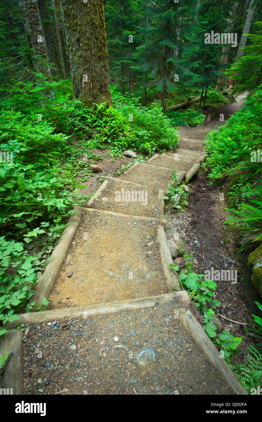 Melakwa Lake Trail #1011 kreuzt Denny Creek nur außerhalb der alpinen Seen Wildnis, Washington, USA Stockfoto