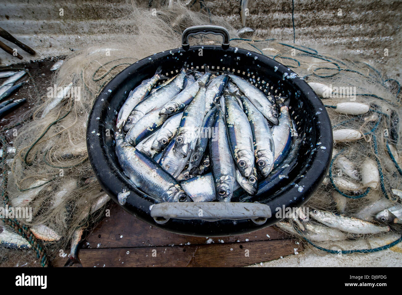Heringsfischerei Stockfotos und -bilder Kaufen - Alamy