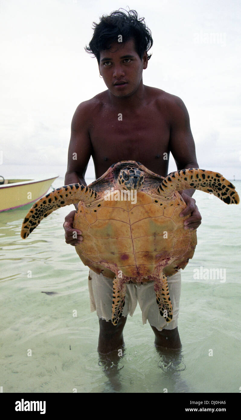 Schildkröte Jäger. Raroia. Tahiti. Französisch-Polynesien Stockfoto