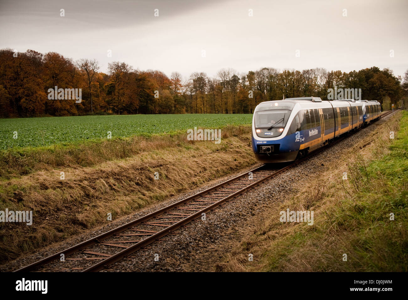 Bombardier TALENT RB75 der NordWestBahn Auf der Fahrt von Osnabrück-Bielefeld (KBS402) Bei Sutthausen Stockfoto