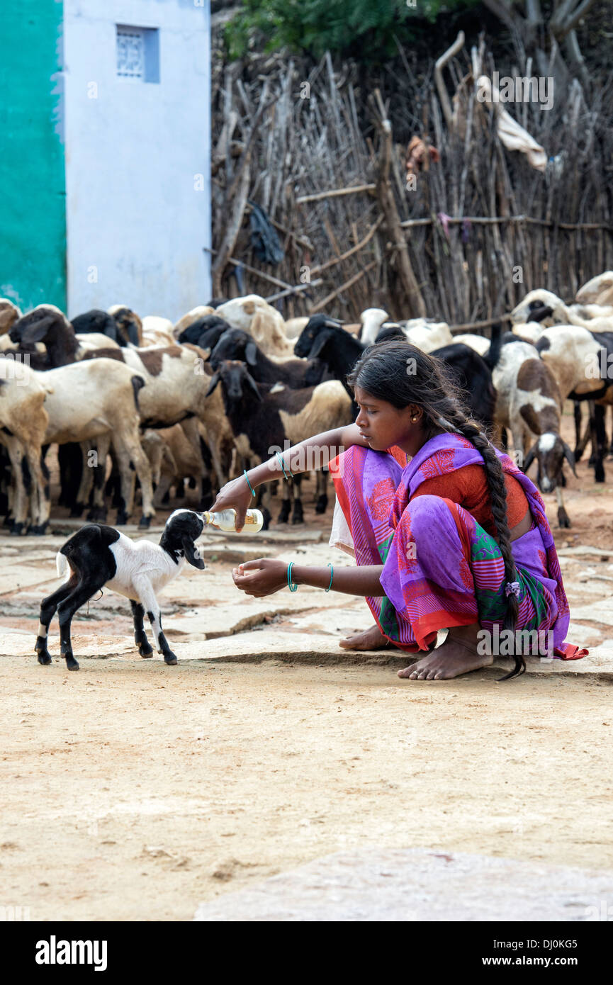 Indischen Mädchens mit der Flasche füttern eine junge Ziege in einem indischen Dorf. Andhra Pradesh, Indien Stockfoto