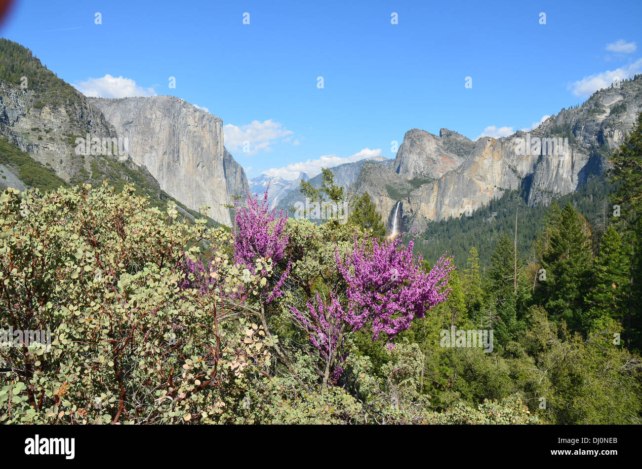 Üppige Vegetation und Wasserfall im Yosemite Nationalpark in Kalifornien Stockfoto