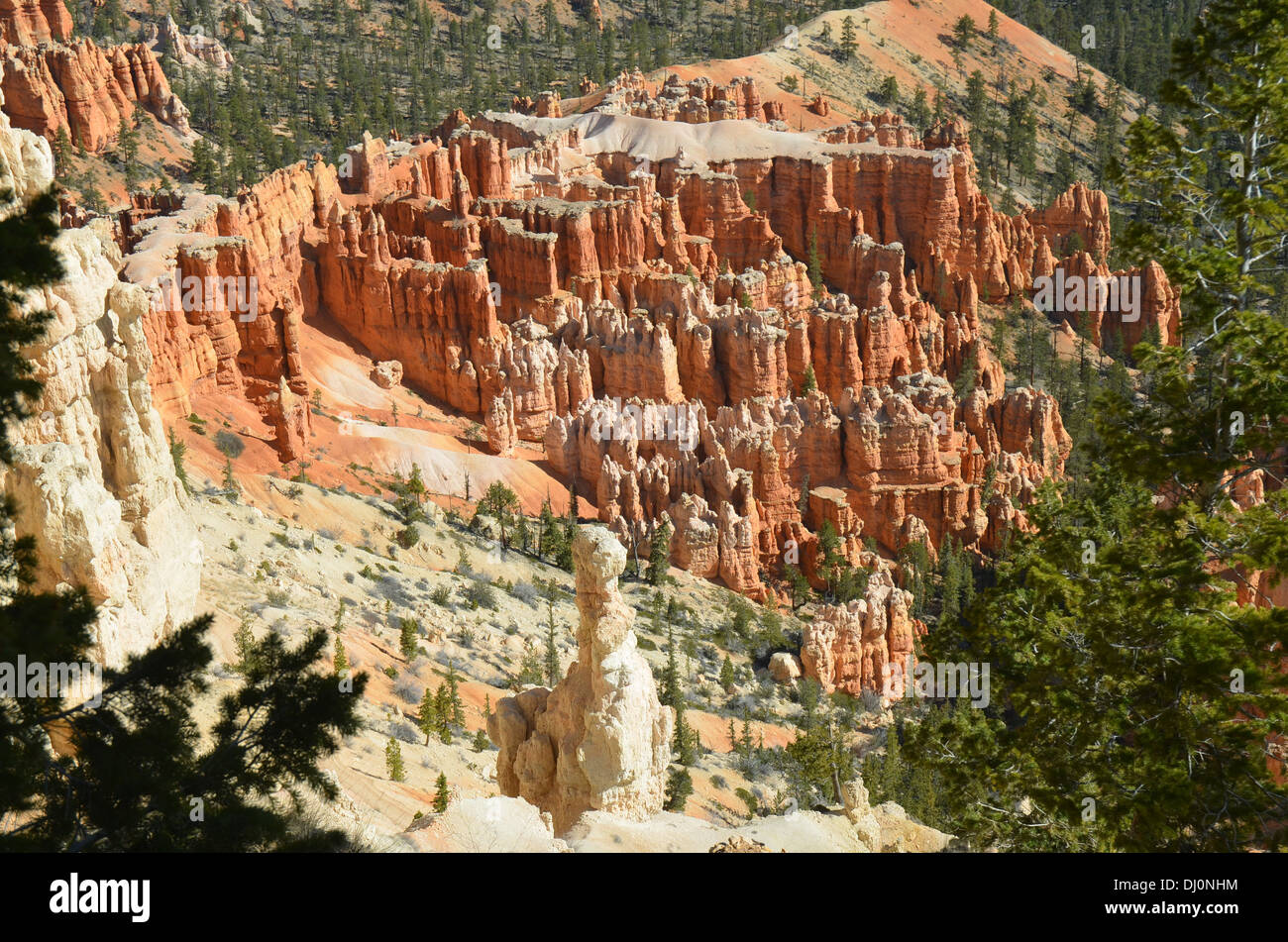 Steinsäulen genannt Hoodoos im Bryce Canyon, die im Laufe der Jahrhunderte abgetragen worden. Die Hoodoos ähneln Schachfiguren! Stockfoto