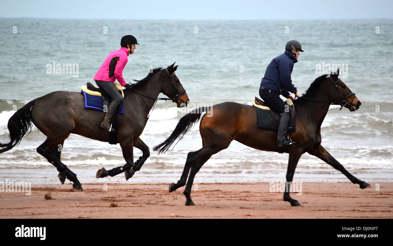 Zwei Pferde mit Fahrer genießen einen Galopp entlang Paignton Sands, Torbay, Devon, England, Vereinigtes Königreich Stockfoto