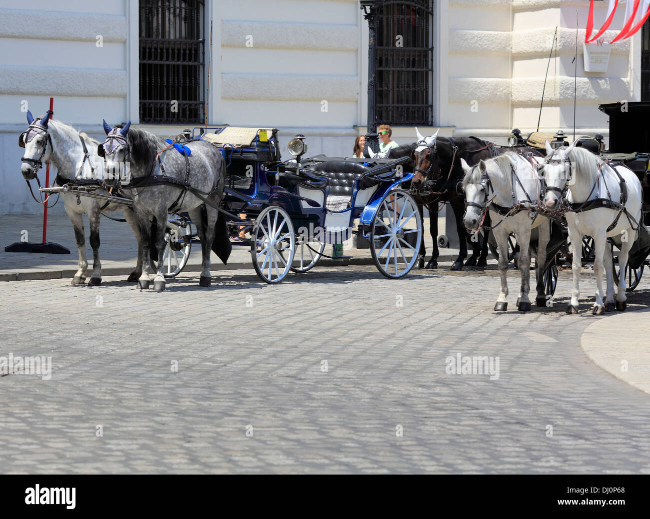 Lipizzaner Pferde auf der Straße, Wien, Österreich Stockfoto