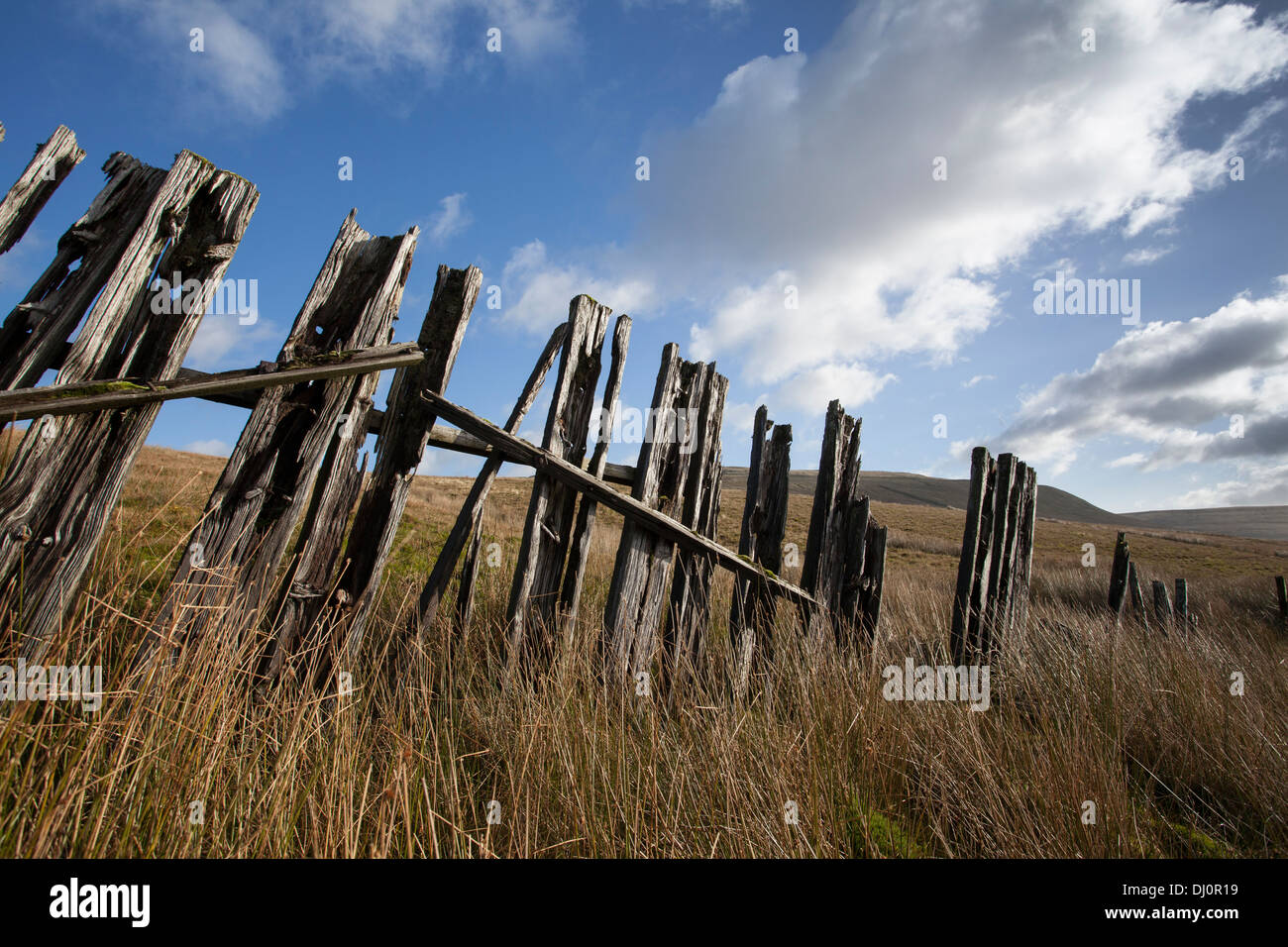 Low Angle View von Abgeklungen, verrottendes Holz- zaunpfosten; Faule Eisenbahnschwellen, Cowgill, Dent Dorf im Süden Lakeland District von Cumbria, Großbritannien Stockfoto