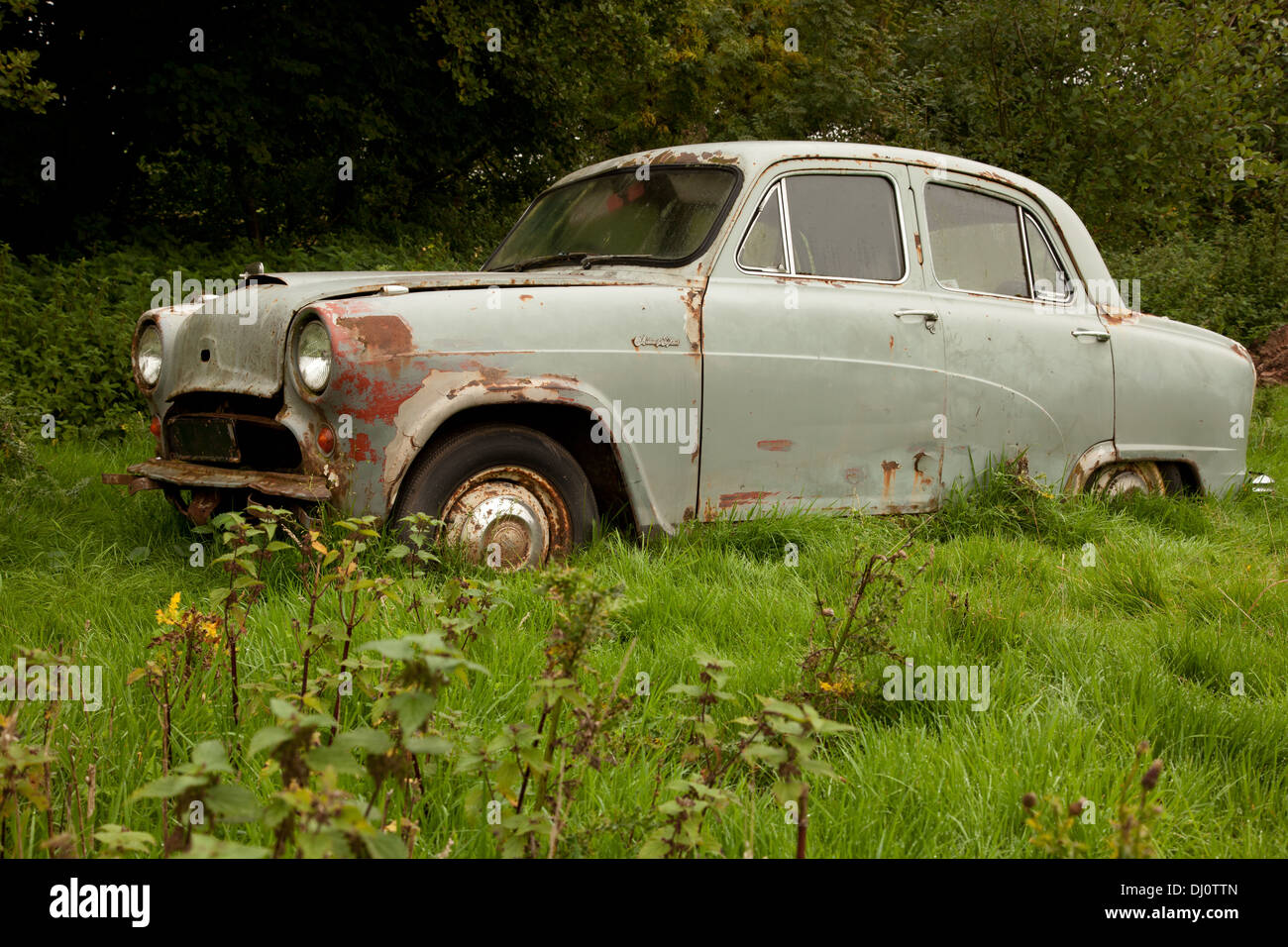 Verlassene alte Austin A50 Auto links im Feld Land im Bereich Forest of Dean rosten Stockfoto