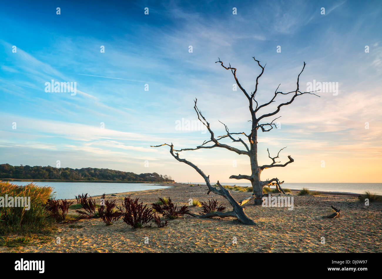 Sonnenaufgang am Benacre auf der Küste von Suffolk Stockfoto