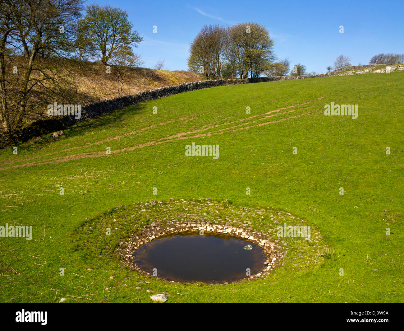 Tau-Teich verwendet, um die Trinkwasserversorgung an die Tiere auf einem Bauernhof in der Nähe von Hartington im Peak District Derbyshire England UK Stockfoto