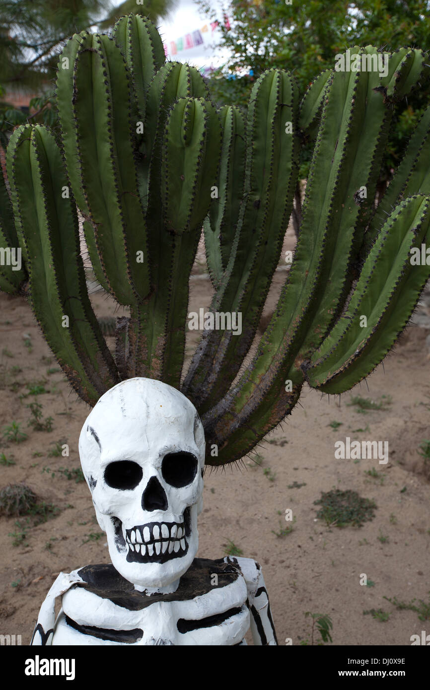 Ein Skelett schmückt einen Kaktus im Laufe des Tages der Toten feiern in San Martin Tilcajete, Oaxaca, Mexiko, 29. Oktober 2013. Stockfoto