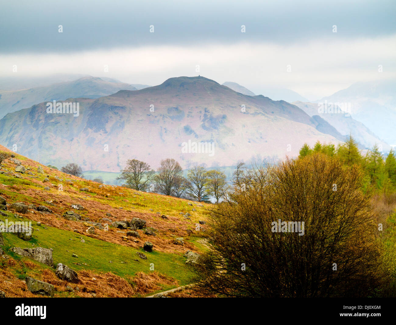 Nebligen Bergen von Bonscale Hecht in der Nähe von Ullswater im Lake District National Park Cumbria England UK mit Bäumen im Vordergrund Stockfoto