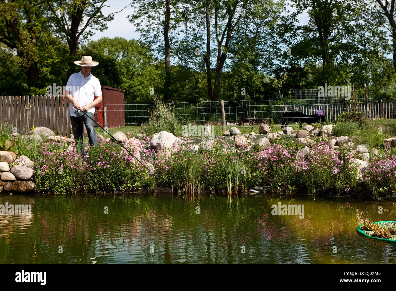 Fischer im teich Fotos und Bildmaterial in hoher Auflösung Alamy
