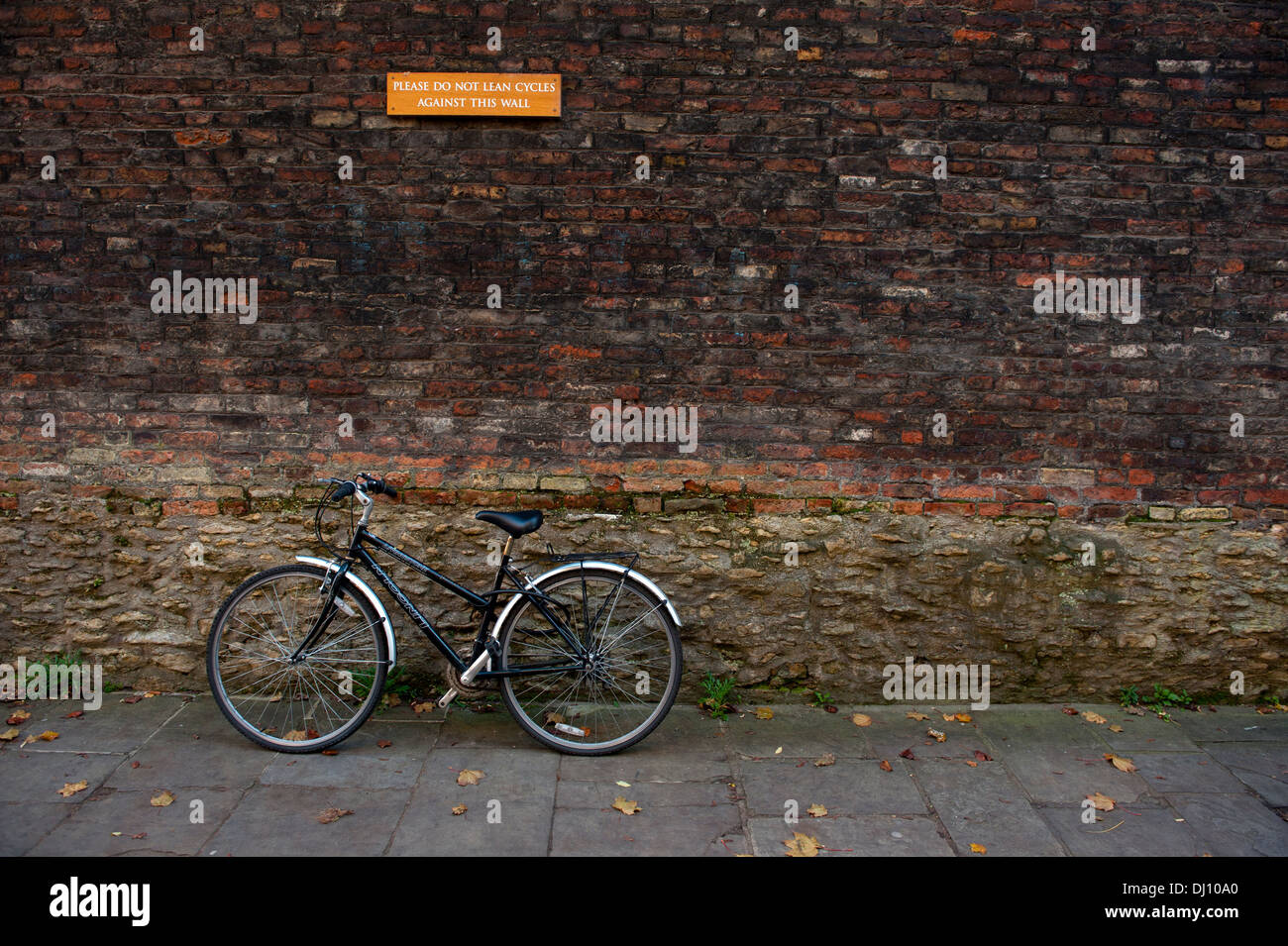 Universität Cambridge, England, Vereinigtes Königreich. 15.11.2013. Fahrrad lehnt sich gegen die Mauer. Stockfoto