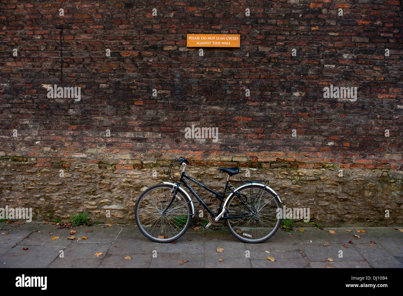 Universität Cambridge, England, Vereinigtes Königreich. 15.11.2013. Fahrrad lehnt sich gegen die Mauer. Stockfoto